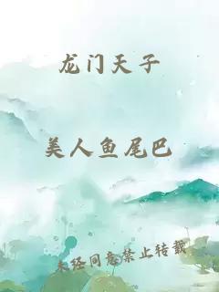 龙门天子