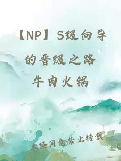【NP】S级向导的晋级之路