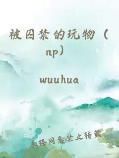 被囚禁的玩物（np）