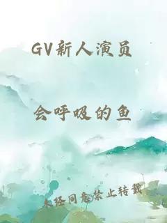 GV新人演员
